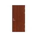 Steel Fire-rated Out Modern Double Front Entry Custom Doors Set